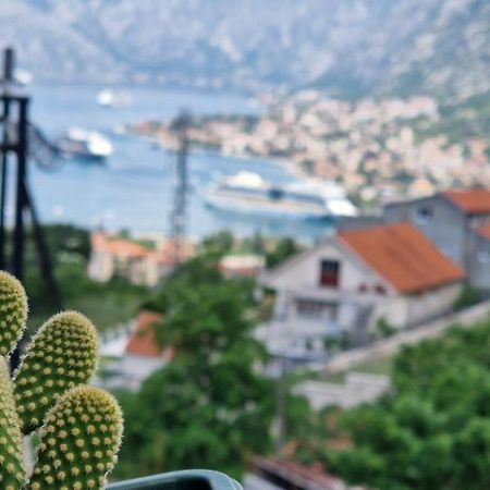 Anastasija 2 Lägenhet Kotor Exteriör bild