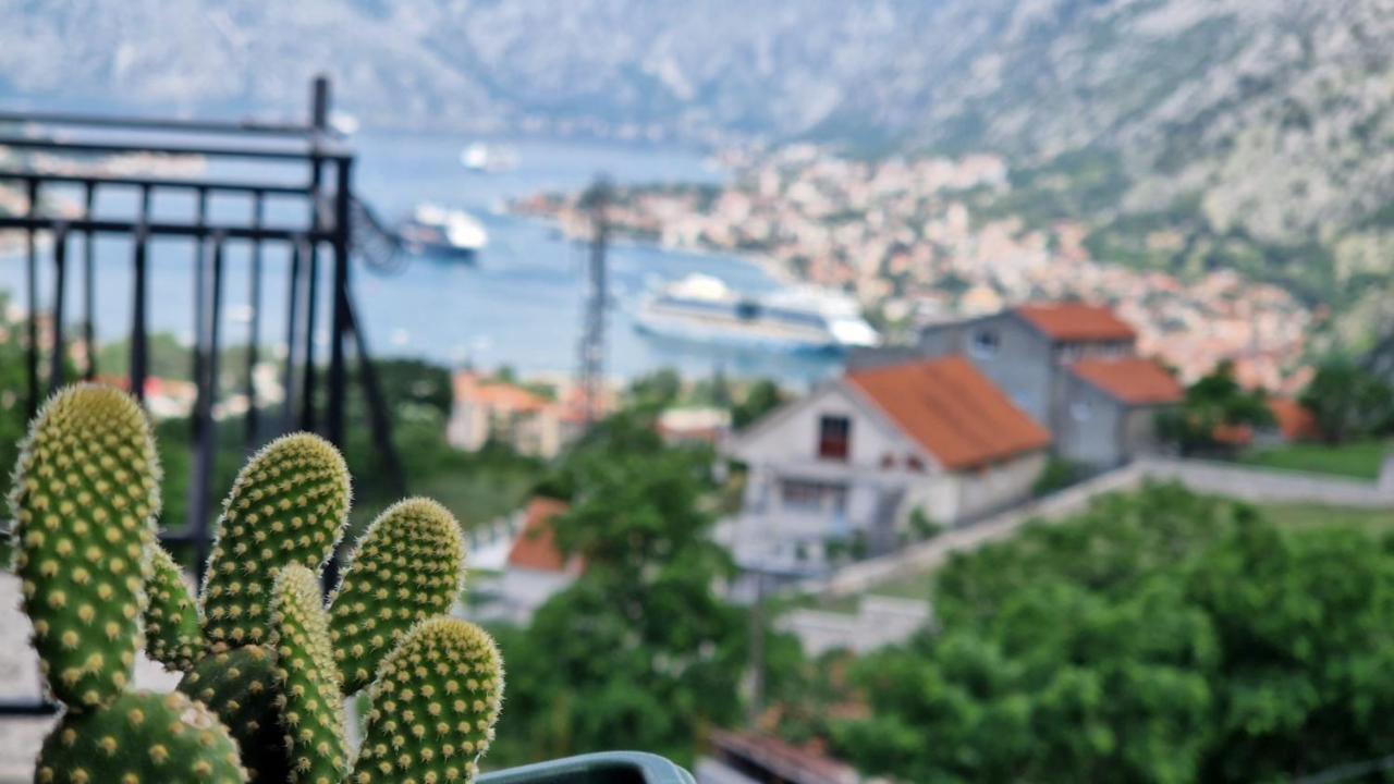 Anastasija 2 Lägenhet Kotor Exteriör bild