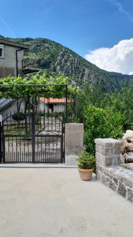 Anastasija 2 Lägenhet Kotor Exteriör bild
